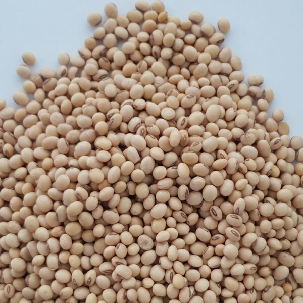Ethiopian Soya Beans.